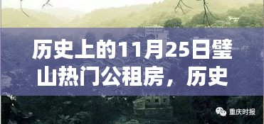 历史上的11月25日璧山热门公租房，全面评测与深度介绍