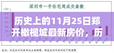 历史上的11月25日郑开橄榄城房价概览与最新房价分析