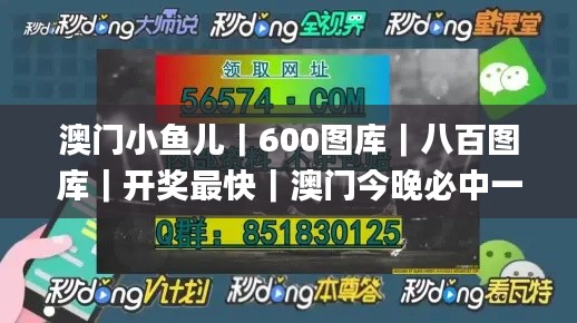 澳门小鱼儿｜600图库｜八百图库｜开奖最快｜澳门今晚必中一肖一码｜2024年澳门正版,实时异文说明法_程序版GKQ7.88