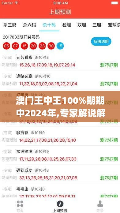 澳门王中王100%期期中2024年,专家解说解释定义_酷炫版LXS7.91