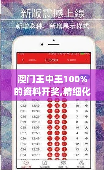 澳门王中王100%的资料开奖,精细化方案决策_计算能力版BRT7.15