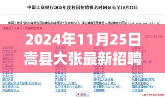 嵩县大张最新招聘信息深度评测与介绍（2024年11月25日）