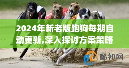 2024年新老版跑狗每期自动更新,深入探讨方案策略_高效版HWP7.72