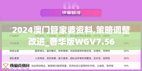 2024澳门管家婆资料,策略调整改进_奢华版WGV7.56