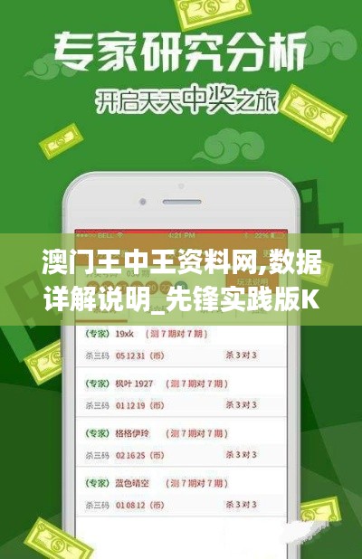 澳门王中王资料网,数据详解说明_先锋实践版KRL7.25