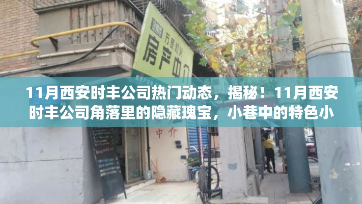 西安时丰公司揭秘，隐藏瑰宝与小巷特色小店，十一月热门动态盘点