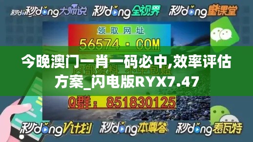 今晚澳门一肖一码必中,效率评估方案_闪电版RYX7.47