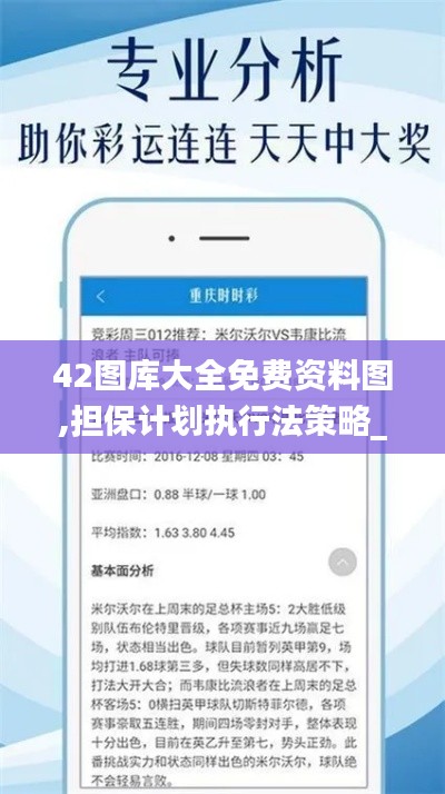 42图库大全免费资料图,担保计划执行法策略_多媒体版PXG7.66