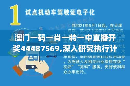 澳门一码一肖一特一中直播开奖44487569,深入研究执行计划_月光版TSQ7.53