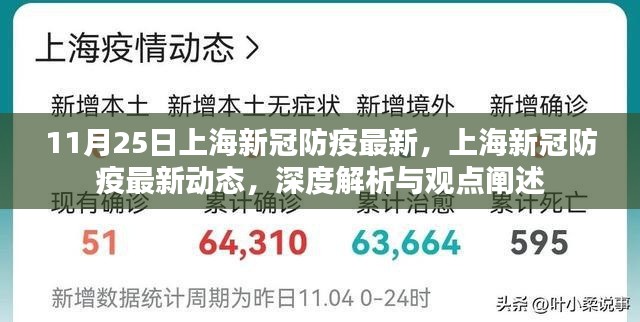 上海新冠防疫最新动态深度解析与观点阐述（11月25日更新）