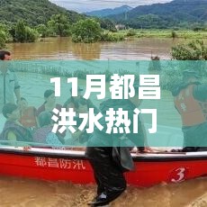 11月都昌洪水应对指南，热门情况解析与全方位应对步骤技能