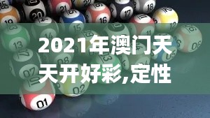 2021年澳门天天开好彩,定性解析明确评估_并行版RBK7.81