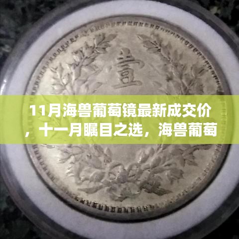 触摸未来智能生活新标杆，海兽葡萄镜最新成交价及十一月瞩目之选