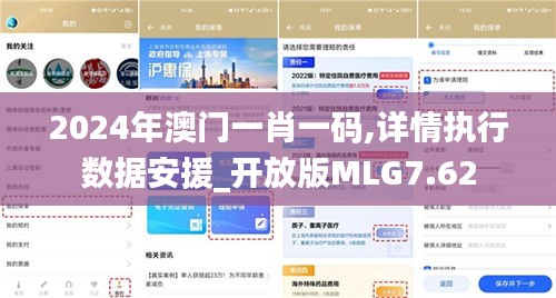 2024年澳门一肖一码,详情执行数据安援_开放版MLG7.62