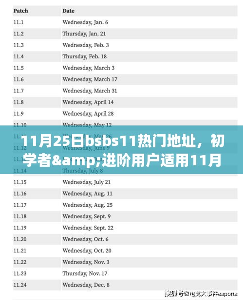 11月25日BSBS11热门地址访问全攻略，适合初学者与进阶用户