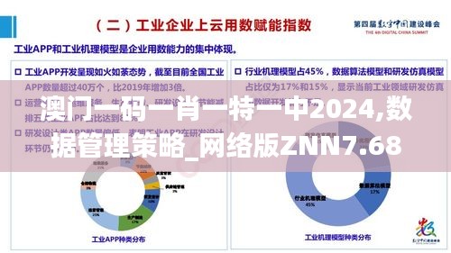 澳门一码一肖一特一中2024,数据管理策略_网络版ZNN7.68