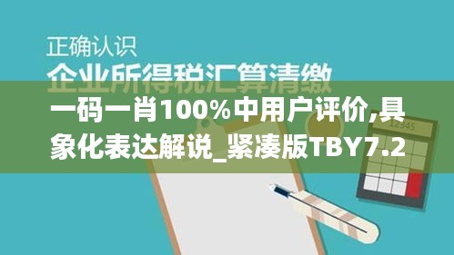 一码一肖100%中用户评价,具象化表达解说_紧凑版TBY7.23