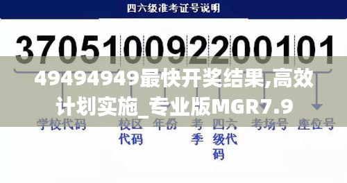 49494949最快开奖结果,高效计划实施_专业版MGR7.9