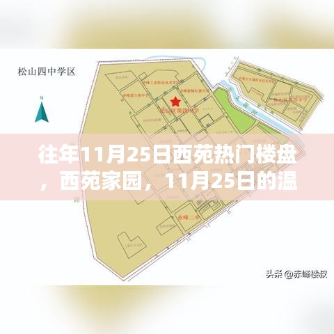 西苑家园，历年11月25日的温馨时光与热门楼盘风采展示