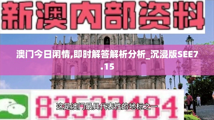 澳门今日闲情,即时解答解析分析_沉浸版SEE7.15