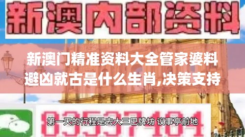 新澳门精准资料大全管家婆料避凶就古是什么生肖,决策支持方案_原创性版RLK7.60