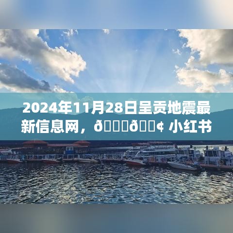 2024年11月28日呈贡地震最新动态解析与资讯播报