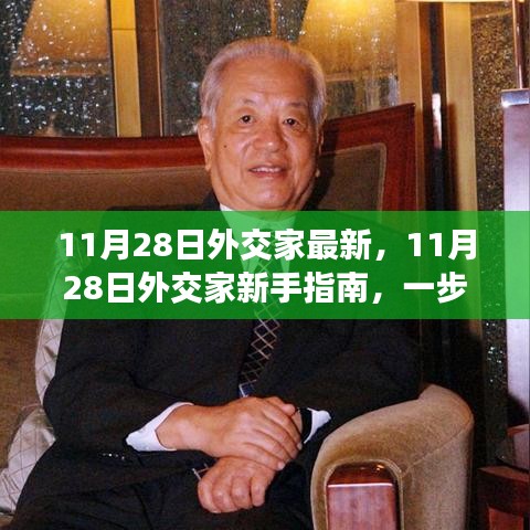 11月28日外交家新手指南与最新动态，掌握外交技能与知识的步骤