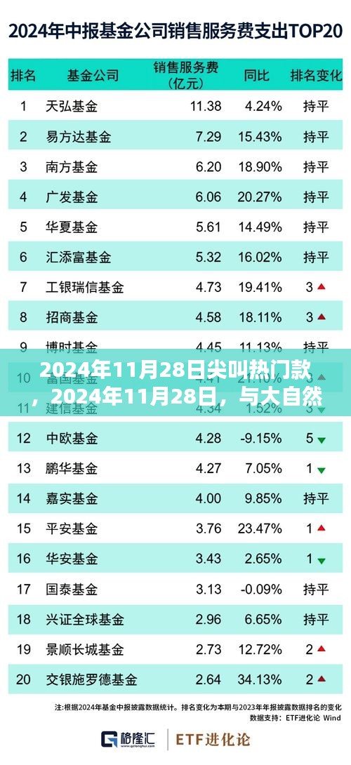 与大自然共舞，探寻内心宁静之声，尖叫热门款2024年11月28日