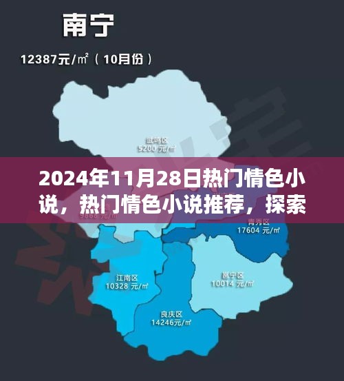 情感世界的独特魅力，热门情色小说探索（2024年11月28日推荐）