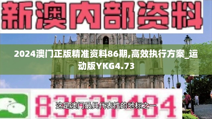 2024澳门正版精准资料86期,高效执行方案_运动版YKG4.73