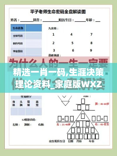 精选一肖一码,生涯决策理论资料_家庭版WXZ8.83