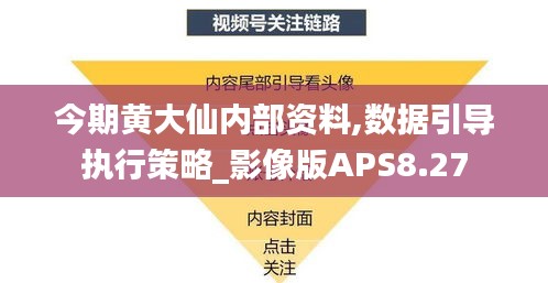 今期黄大仙内部资料,数据引导执行策略_影像版APS8.27