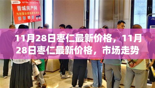 11月28日枣仁最新价格，市场走势分析与购买指南