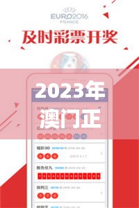 2023年澳门正版资料有哪些,持续性实施方案_增强版XAM8.70