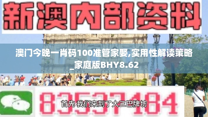 澳门今晚一肖码100准管家娶,实用性解读策略_家庭版BHY8.62