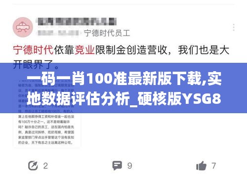 一码一肖100准最新版下载,实地数据评估分析_硬核版YSG8.24