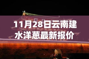 云南建水洋葱最新报价揭秘，科技引领生活新潮流