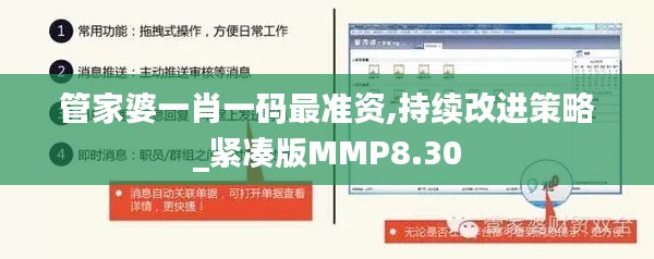 管家婆一肖一码最准资,持续改进策略_紧凑版MMP8.30