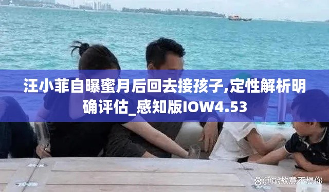 汪小菲自曝蜜月后回去接孩子,定性解析明确评估_感知版IOW4.53