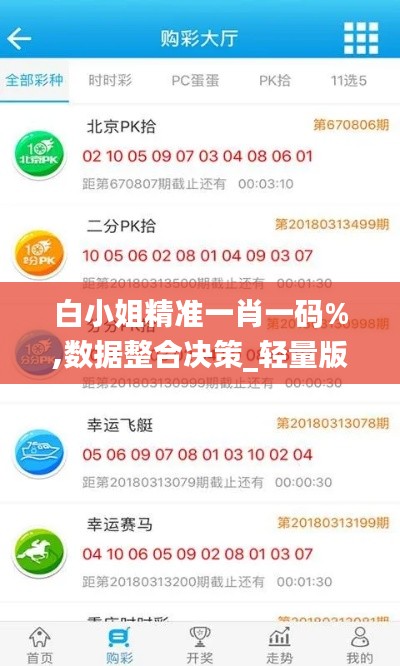 白小姐精准一肖一码%,数据整合决策_轻量版ESH8.44