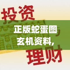 正版蛇蛋图玄机资料,高效计划实施_黑科技版IOP4.84