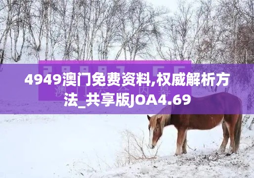 4949澳门免费资料,权威解析方法_共享版JOA4.69