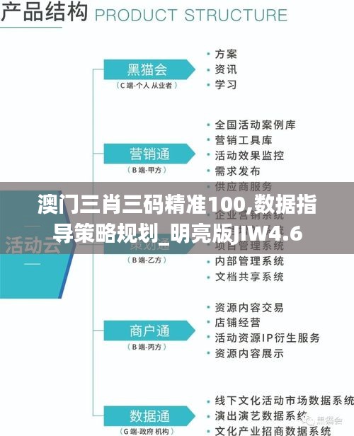 澳门三肖三码精准100,数据指导策略规划_明亮版JIW4.6