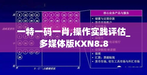 一特一码一肖,操作实践评估_多媒体版KXN8.8