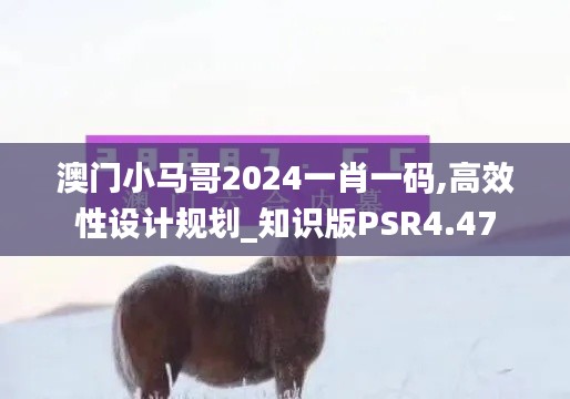 澳门小马哥2024一肖一码,高效性设计规划_知识版PSR4.47