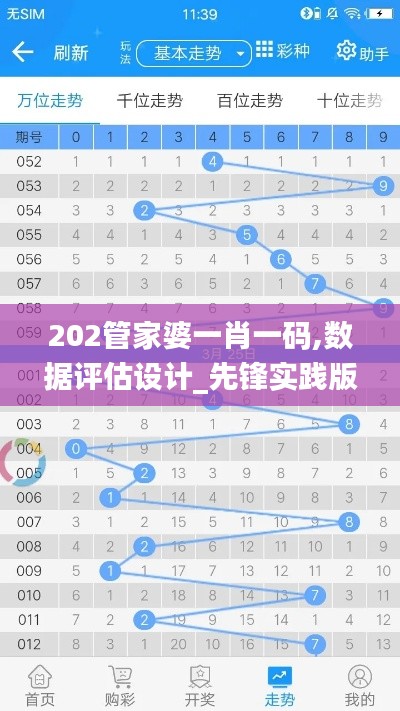 202管家婆一肖一码,数据评估设计_先锋实践版DQI8.80