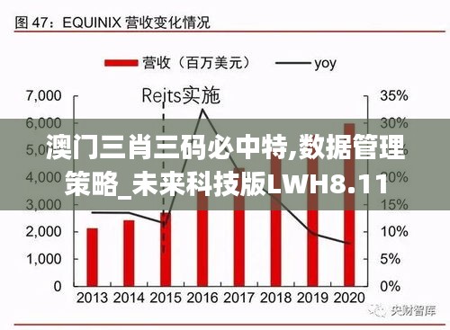 澳门三肖三码必中特,数据管理策略_未来科技版LWH8.11