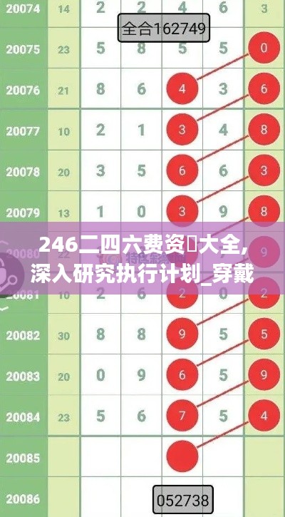 246二四六费资枓大全,深入研究执行计划_穿戴版TXO8.28