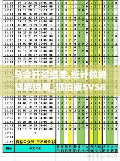 马会开奖结果,统计数据详解说明_抓拍版SVS8.16