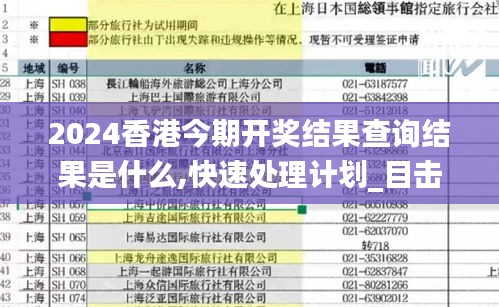 2024香港今期开奖结果查询结果是什么,快速处理计划_目击版TGK4.93